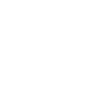 El66-Gin